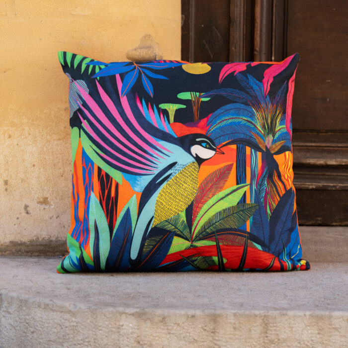Coussin- L'envol